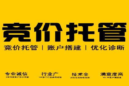 竞价广告的投放技巧及网络推广效果评估